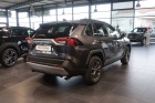 Toyota RAV4 Hybrid 4x4 Team Deutschland