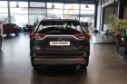 Toyota RAV4 Hybrid 4x4 Team Deutschland