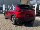 Mazda CX-30 2.0 2025 Exclusive-line  Klimaautomatik Navi