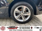 Opel Insignia Sports Tourer 2.0 Diesel Aut. Business Edition