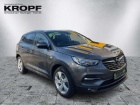 Opel Grandland 1.6 D   FLA LM AkustikGlas PDC
