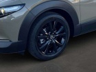 Mazda CX-30 e-SKYACTIVE G 140 Aut. NAGISA Navi Leder Soundsyst