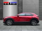 Mazda CX-30 150PS Exclusive 6AT Bose, 360°, Matrix-LED