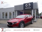 Mazda CX-30 Exclusive-Line X 186 Automatik|Matrix-LED|Navi