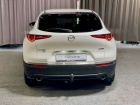 Mazda CX-30 186PS AUTO AWD SELECTION DESIGN PREMIUM LEDER-S GS