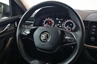 Škoda Kamiq 1.0 TSI Ambition SHZ|AHK|DSG|PDCh|LED|APPs