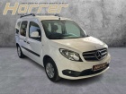 Mercedes-Benz Citan 111 CDI lang Navi PDC Sitzheizung