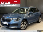 Škoda Kamiq 1.0 TSI DSG Clever  Voll/LED NAVI KAMERA
