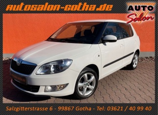 Škoda Fabia TSI Style Edition KLIMAAUTO+SHZ PDC LMR