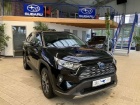 Toyota RAV4 2.5 Hybrid Business Edition