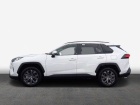 Toyota RAV4 RAV 4 2.5 4x2 Hybrid Team Deutschland, Technik Pak