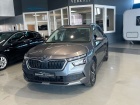 Škoda Kamiq 1.0 TSI Ambition Balero Sitzheizung AHK