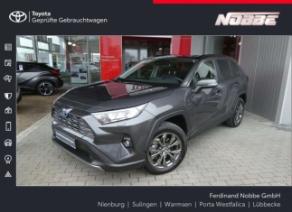 Toyota RAV4 2.5 4x2 Hybrid Team Deutschland