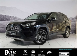 Toyota RAV4 4 Hybrid 4x4 Team Deutschland TP Klima