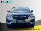 Opel Grandland Selection 1.2 Turbo Musikstreaming Verkehrszeichen