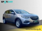 Opel Grandland Selection 1.2 Turbo Musikstreaming Verkehrszeichen