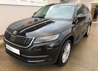 Škoda Kodiaq Kodiaq 1.4 TSI DSG Navi SHZ Kamera Allwetter