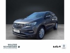Opel Grandland 120 Jahre  SHZ KLIMA KAMERA PDC Alu
